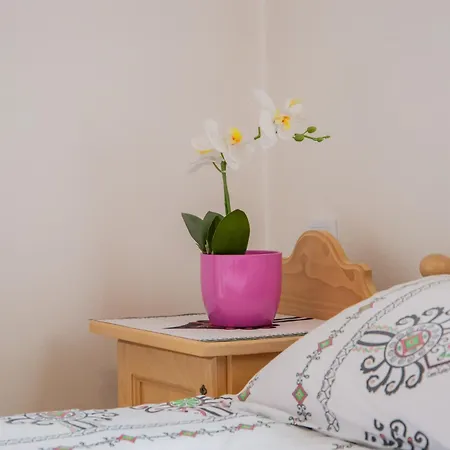 ゲストハウス Goralska U Kotelnickich Olcza