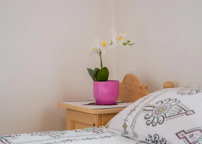 Gæstehus Goralska U Kotelnickich Olcza